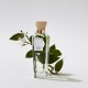 adolfo-dominguez-agua-fresca-azahar-eau-de-toilette