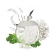 cacharel noa eau de toilette 100 ml mujer