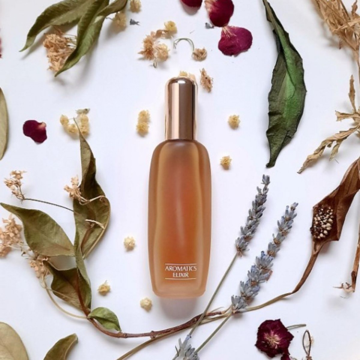 Clinique Aromatics Elixir EDP 100 Ml.