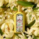 set-gucci-flora-gorgeous-orchid-edp-50ml-edp-10ml