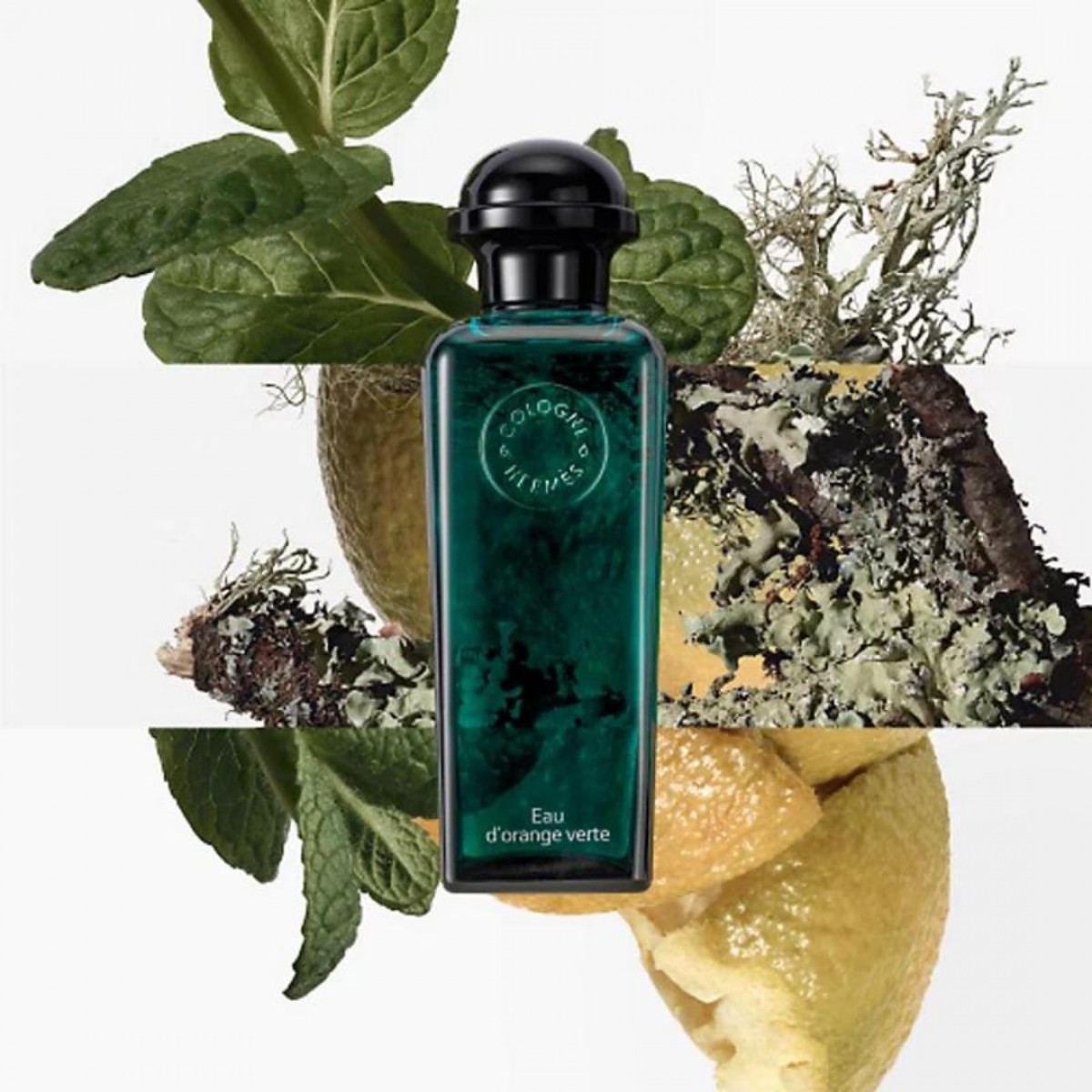 Eau d'Orange Verte EDC 100 Ml. Eau d'Orange Verte EDC 100 Ml.
