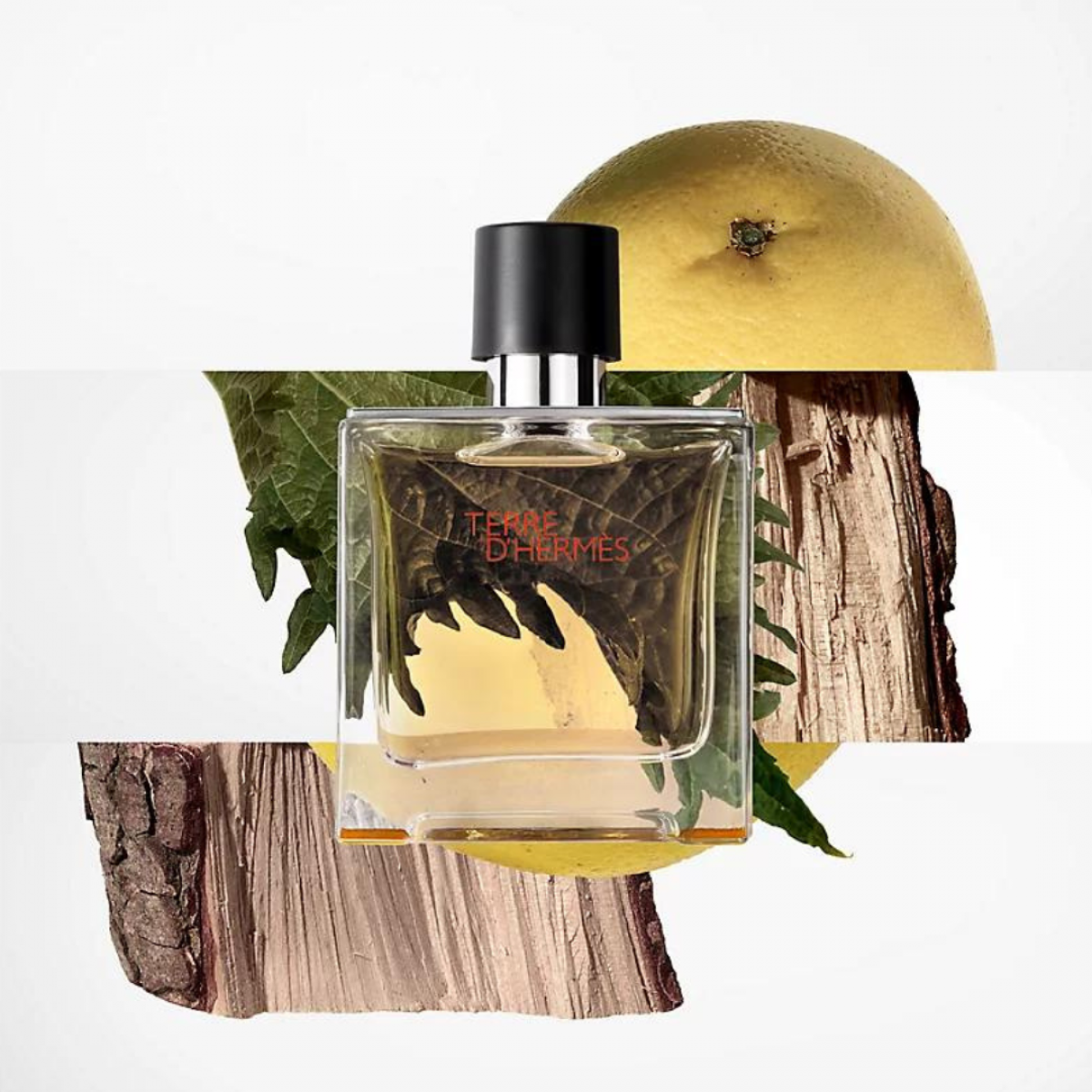 Set Regalo Terre d’Hermès EDT 100 ml + Gel de Baño 80 ml hombre