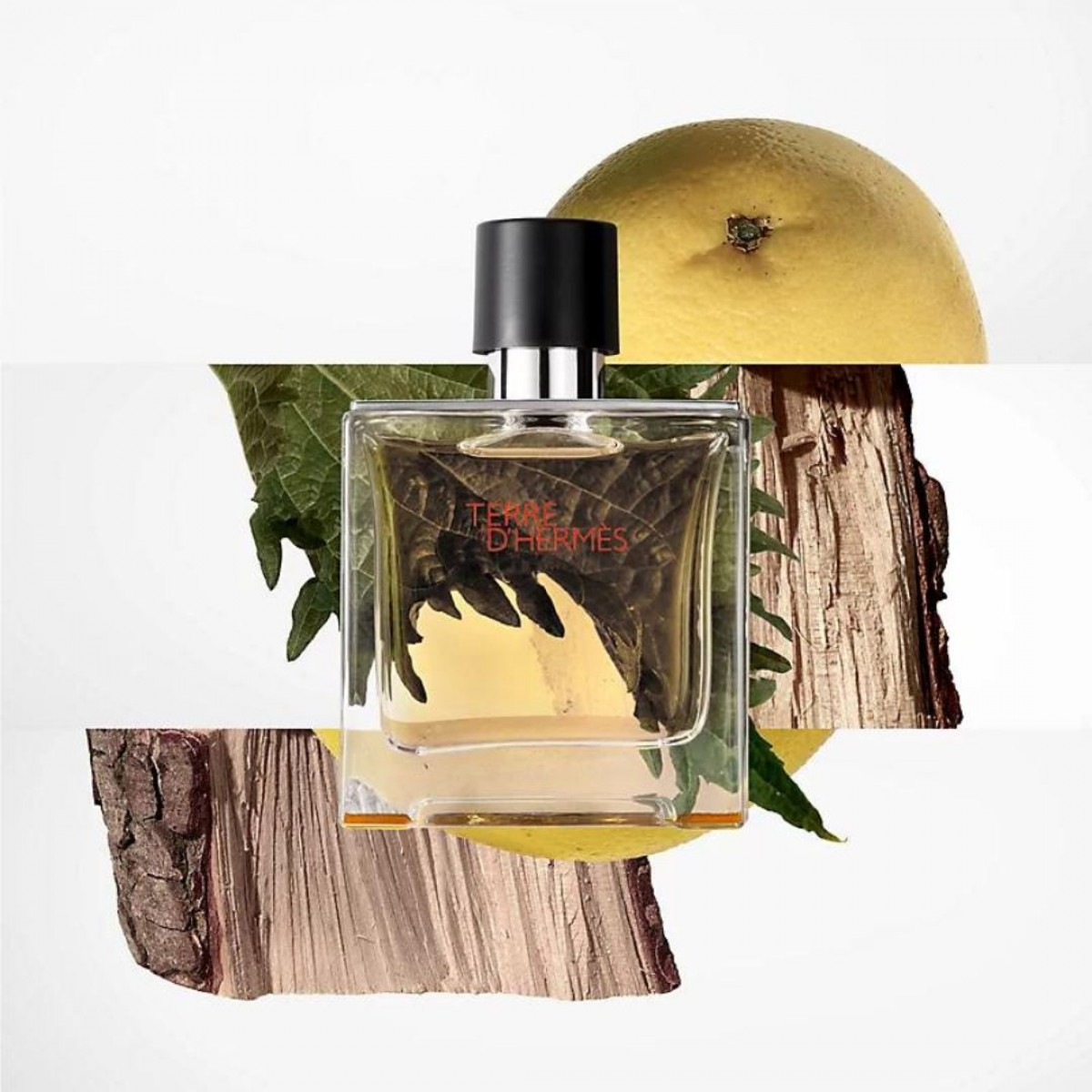 Terre D' Hermès Parfum 75 Ml.