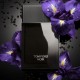 Tom Ford Noir Eau de Parfum 100ml noir-eau-de-parfum-tom-ford