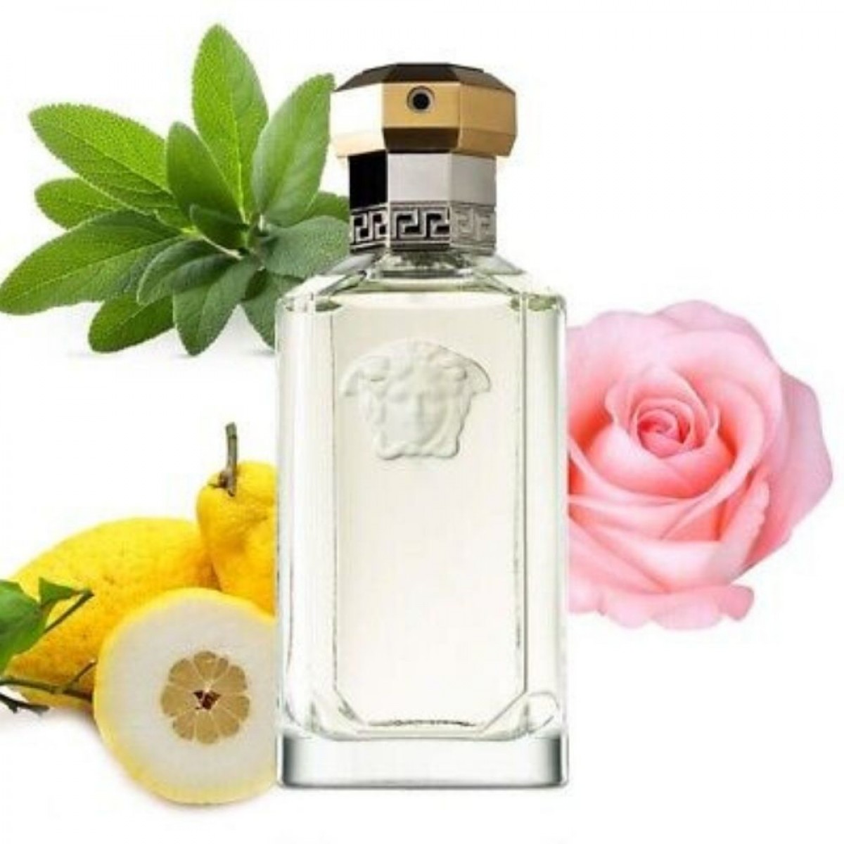 Versace The Dreamer Eau de Toilette 50 ml fragancia masculina
